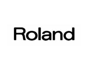 Roland Musikerartikel